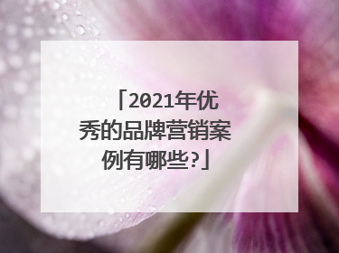 2021年优秀的品牌营销案例有哪些?