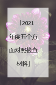 2021年度五个方面对照检查材料