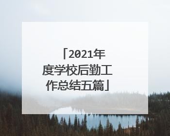 2021年度学校后勤工作总结五篇