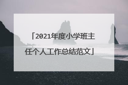 2021年度小学班主任个人工作总结范文