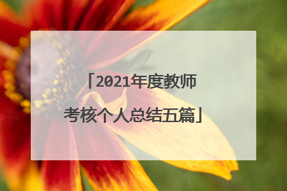 2021年度教师考核个人总结五篇
