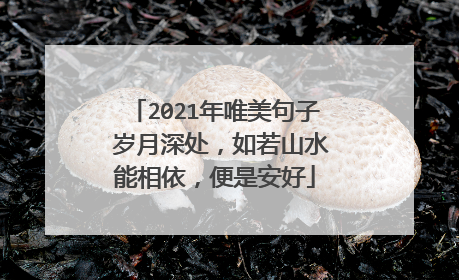 2021年唯美句子 岁月深处，如若山水能相依，便是安好