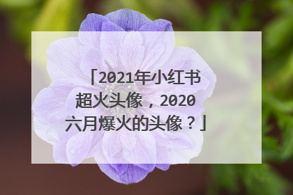 2021年小红书超火头像，2020六月爆火的头像？