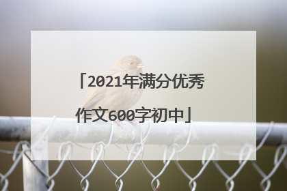 2021年满分优秀作文600字初中