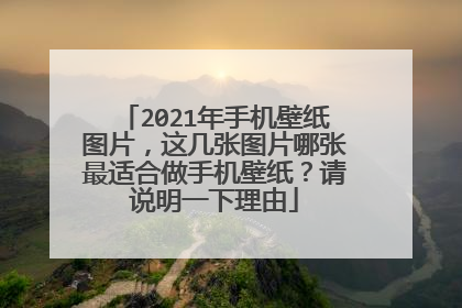 2021年手机壁纸图片,这几张图片哪张最适合做手机壁纸?请说明一下理由