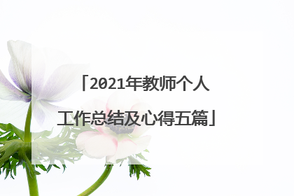2021年教师个人工作总结及心得五篇