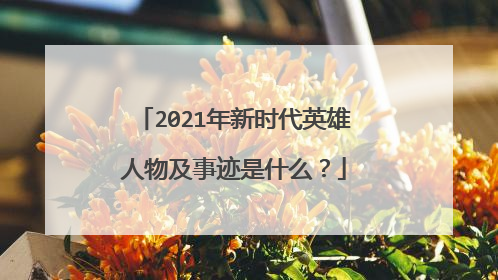 2021年新时代英雄人物及事迹是什么?