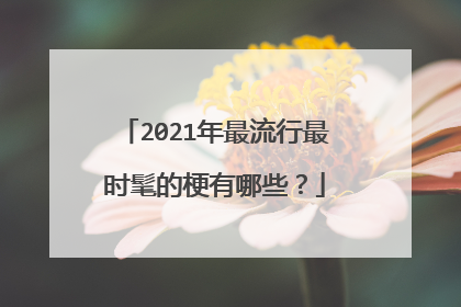 2021年最流行最时髦的梗有哪些?