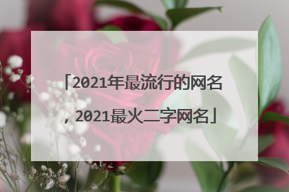 2021年最流行的网名，2021最火二字网名
