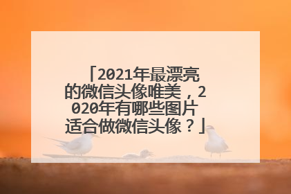 2021年最漂亮的微信头像唯美，2020年有哪些图片适合做微信头像？