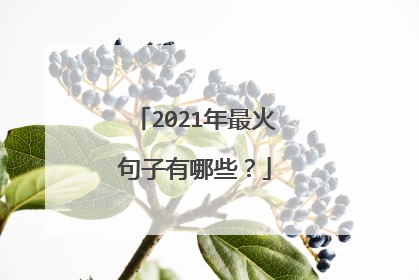 2021年最火句子有哪些？