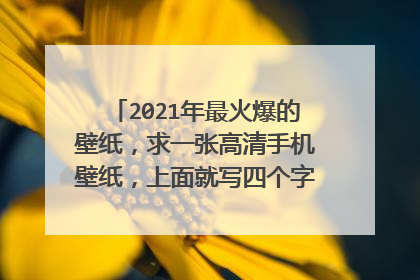 2021年最火爆的壁纸,求一张高清手机壁纸,上面就写四个字,三十而立。