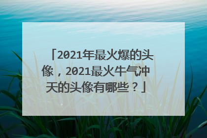 2021年最火爆的头像,2021最火牛气冲天的头像有哪些?