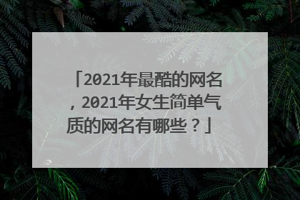2021年最酷的网名，2021年女生简单气质的网名有哪些？