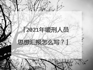 2021年缓刑人员思想汇报怎么写?