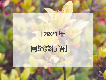 2021年网络流行语
