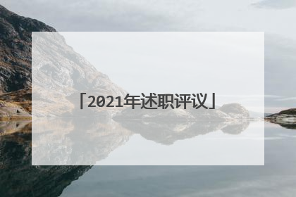 2021年述职评议