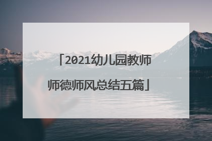 2021幼儿园教师师德师风总结五篇