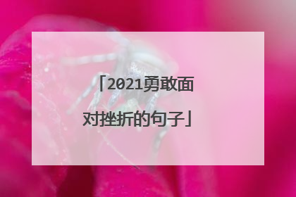 2021勇敢面对挫折的句子