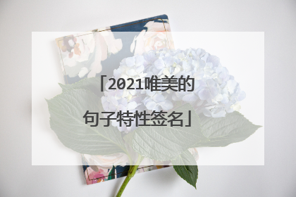 2021唯美的句子特性签名