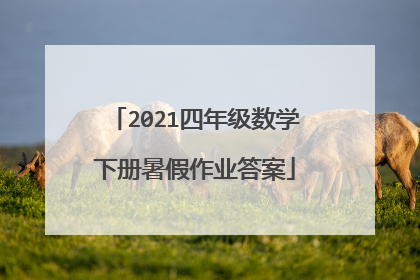 2021四年级数学下册暑假作业答案