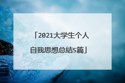 2021大学生个人自我思想总结5篇