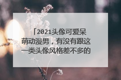 2021头像可爱呆萌动漫男,有没有跟这一类头像风格差不多的动漫头像呀,