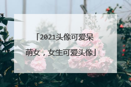 2021头像可爱呆萌女,女生可爱头像