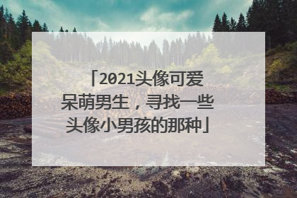 2021头像可爱呆萌男生,寻找一些头像小男孩的那种