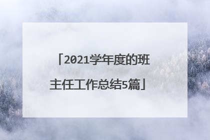 2021学年度的班主任工作总结5篇