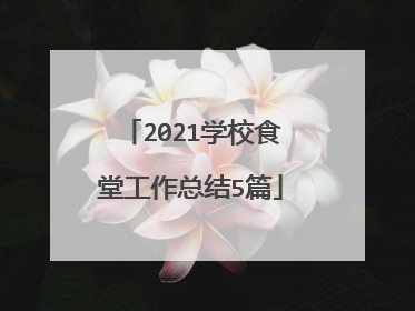 2021学校食堂工作总结5篇