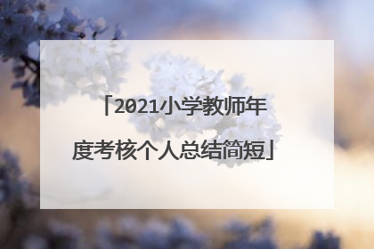 2021小学教师年度考核个人总结简短