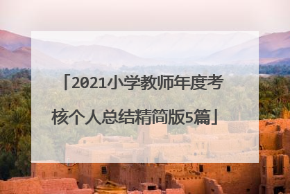 2021小学教师年度考核个人总结精简版5篇