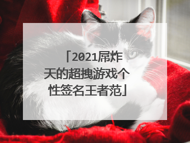 2021屌炸天的超拽游戏个性签名王者范