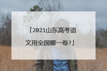 2021山东高考语文用全国哪一卷?