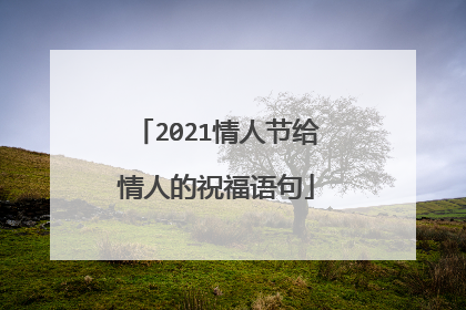2021情人节给情人的祝福语句