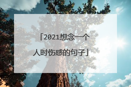 2021想念一个人时伤感的句子