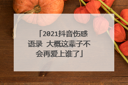 2021抖音伤感语录 大概这辈子不会再爱上谁了