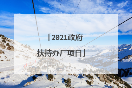 2021政府扶持办厂项目