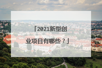 2021新型创业项目有哪些?