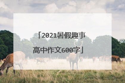 2021暑假趣事高中作文600字