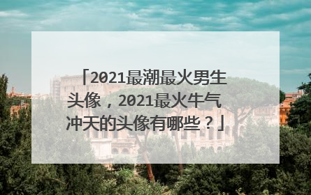 2021最潮最火男生头像,2021最火牛气冲天的头像有哪些?