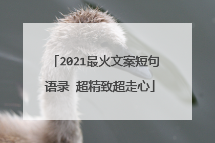 2021最火文案短句语录 超精致超走心