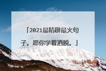 2021最精辟最火句子。愿你学着洒脱。