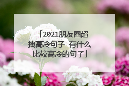 2021朋友圈超拽高冷句子 有什么比较高冷的句子