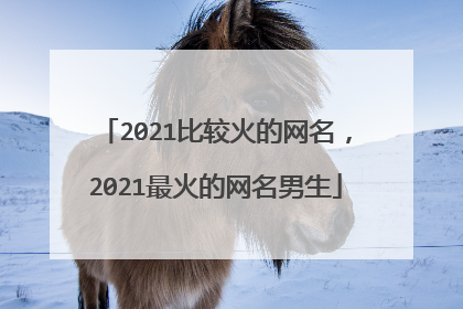 2021比较火的网名，2021最火的网名男生