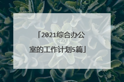 2021综合办公室的工作计划5篇
