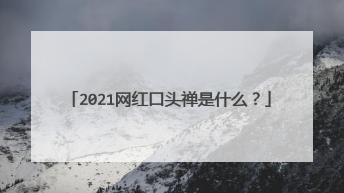 2021网红口头禅是什么?