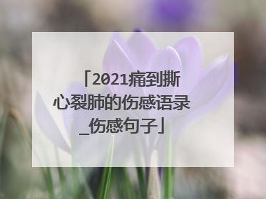 2021痛到撕心裂肺的伤感语录_伤感句子