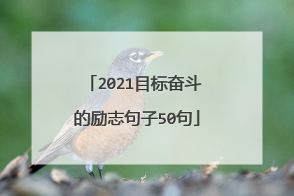 2021目标奋斗的励志句子50句
